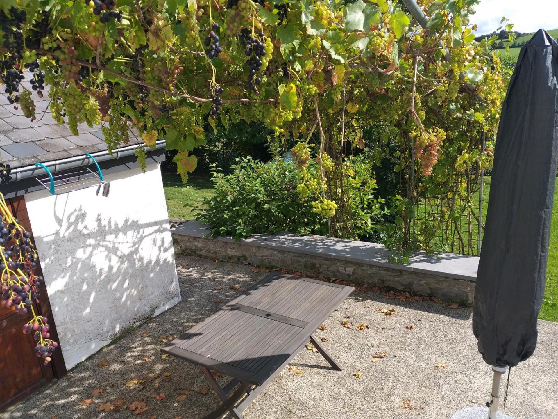Gite L'Ecole De Ma Mere Villa Bertogne Esterno foto