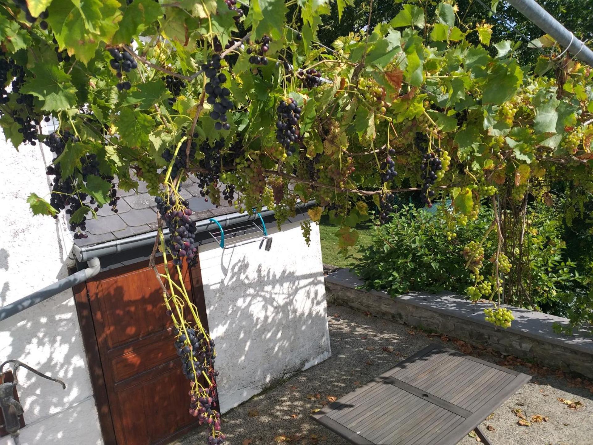 Gite L'Ecole De Ma Mere Villa Bertogne Esterno foto