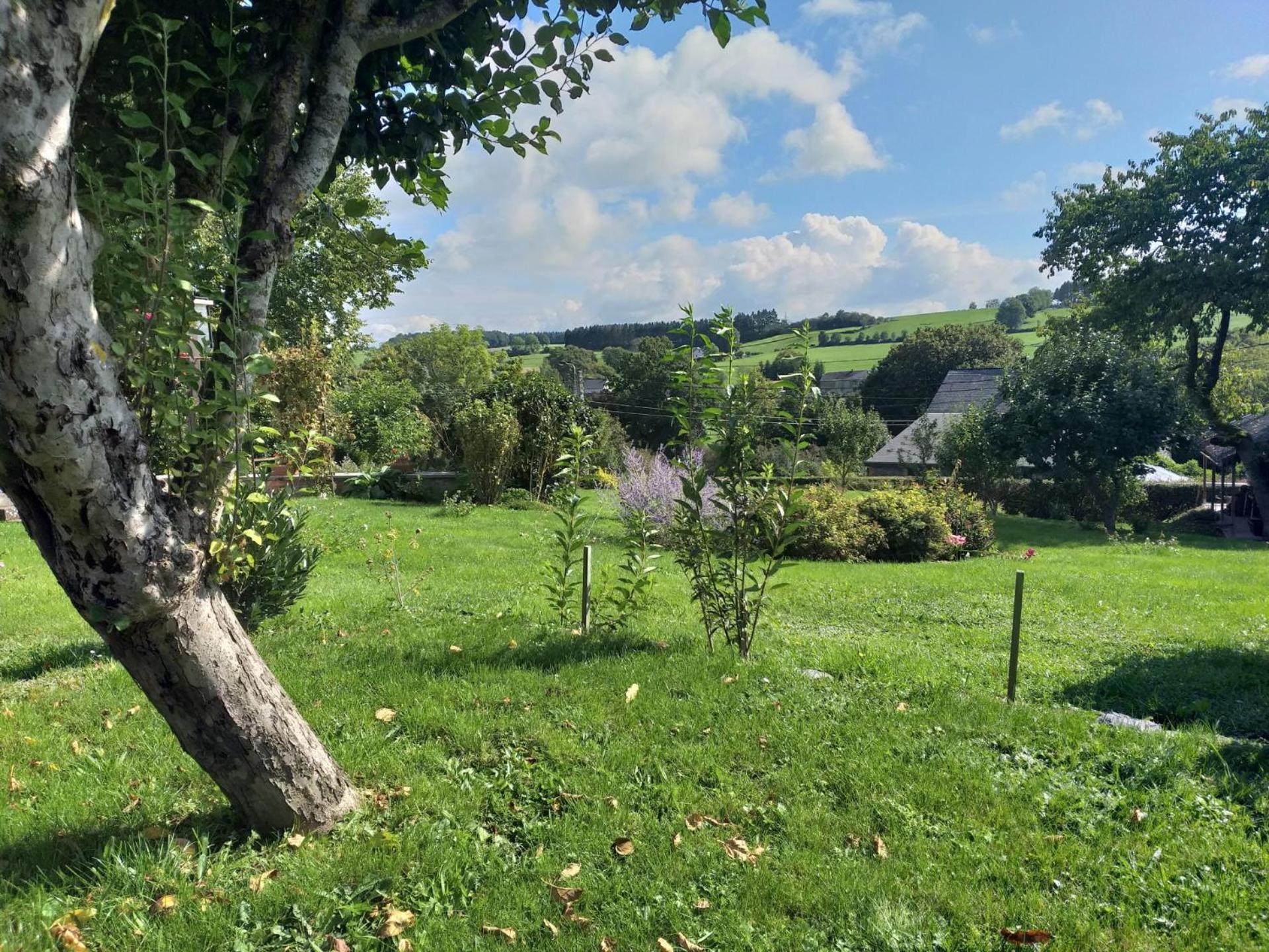 Gite L'Ecole De Ma Mere Villa Bertogne Esterno foto